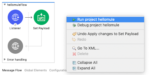 Run project hellomule